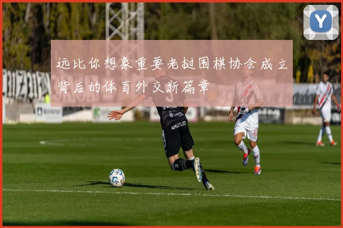 远比你想象重要老挝围棋协会成立背后的体育外交新篇章